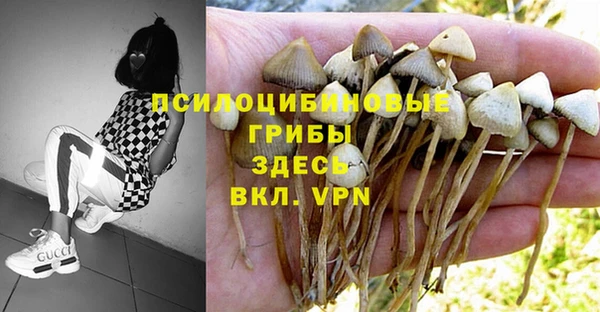 дистиллят марихуана Магас