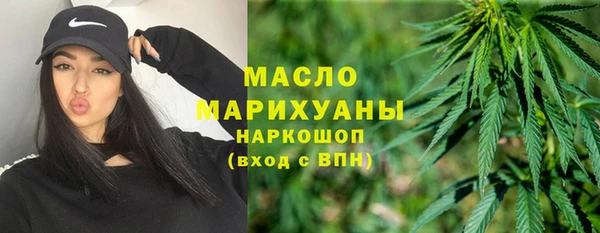 индика Козельск