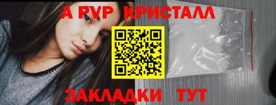 тгк Гай