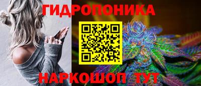винт Гатчина