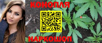 мяу мяу мука Будённовск